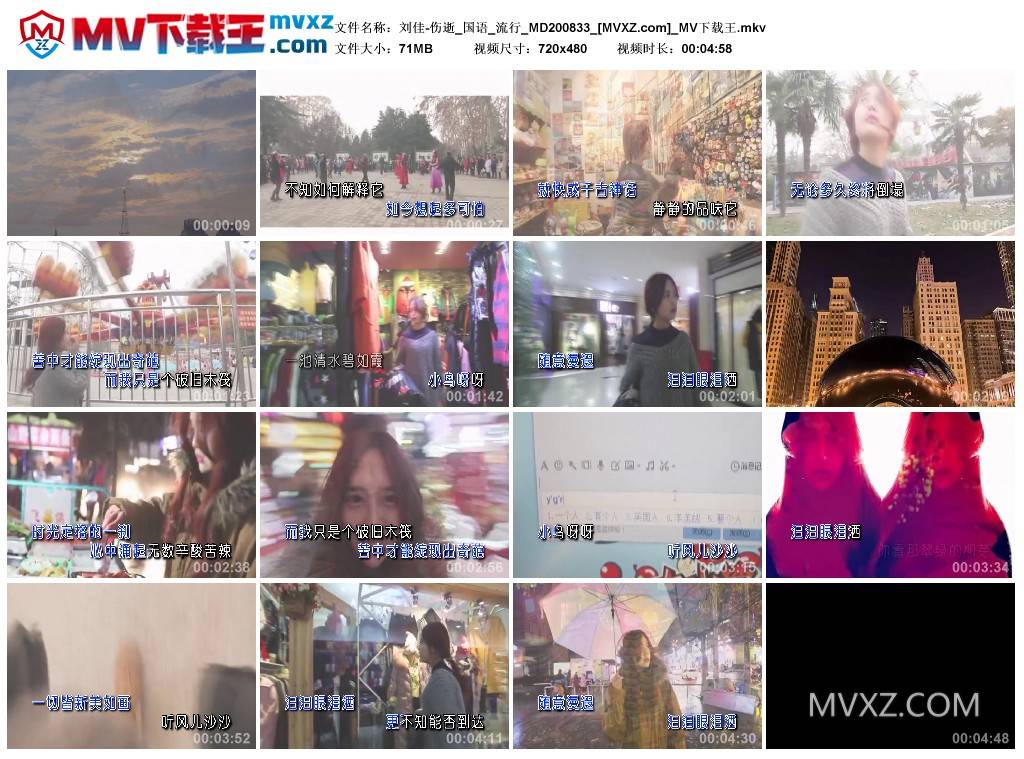 刘佳-伤逝_国语_流行_MD200833
